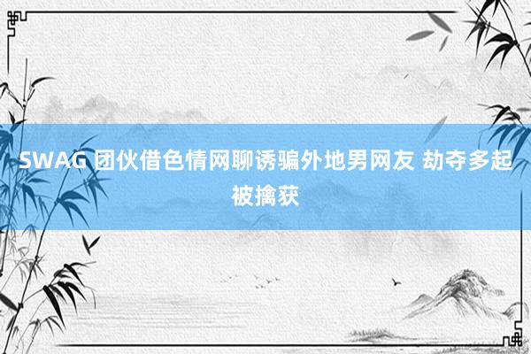 SWAG 团伙借色情网聊诱骗外地男网友 劫夺多起被擒获