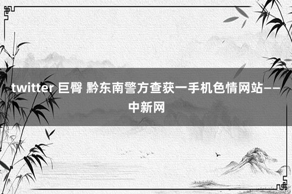 twitter 巨臀 黔东南警方查获一手机色情网站——中新网