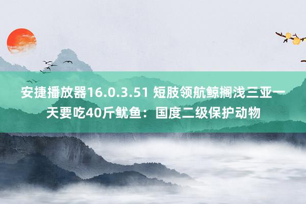 安捷播放器16.0.3.51 短肢领航鲸搁浅三亚一天要吃40斤鱿鱼：国度二级保护动物
