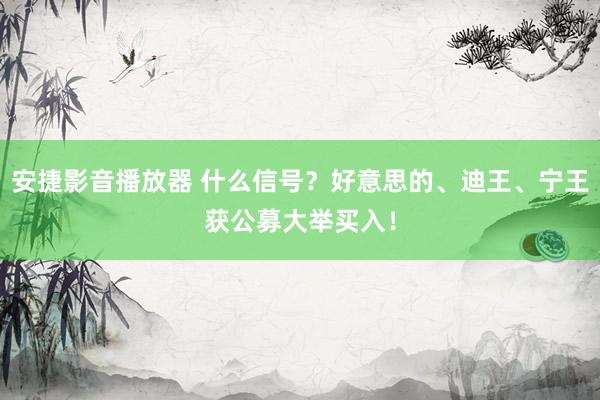 安捷影音播放器 什么信号？好意思的、迪王、宁王获公募大举买入！