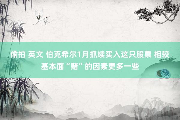 偷拍 英文 伯克希尔1月抓续买入这只股票 相较基本面“赌”的因素更多一些