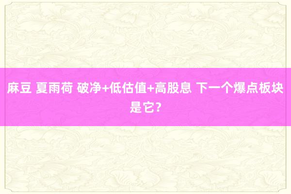 麻豆 夏雨荷 破净+低估值+高股息 下一个爆点板块是它？