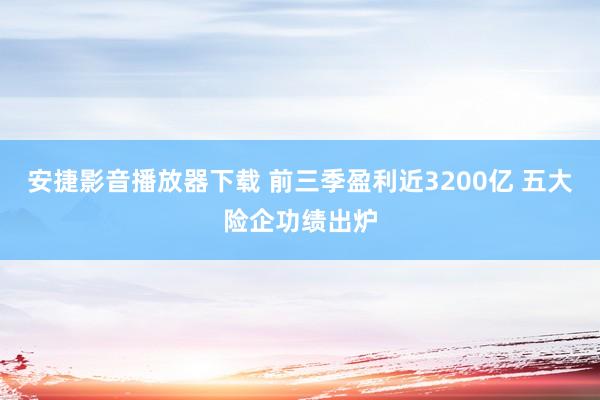 安捷影音播放器下载 前三季盈利近3200亿 五大险企功绩出炉