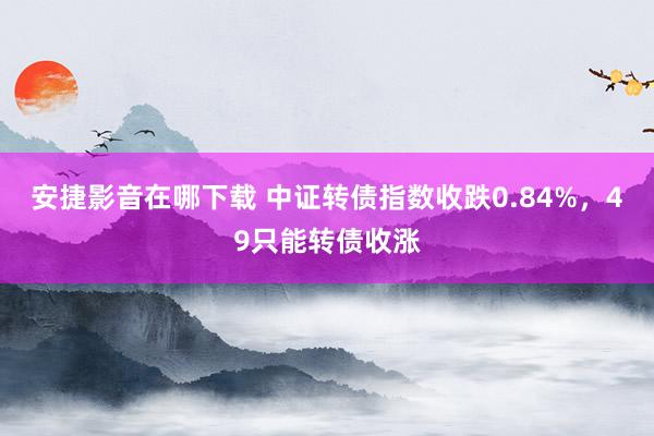 安捷影音在哪下载 中证转债指数收跌0.84%，49只能转债收涨