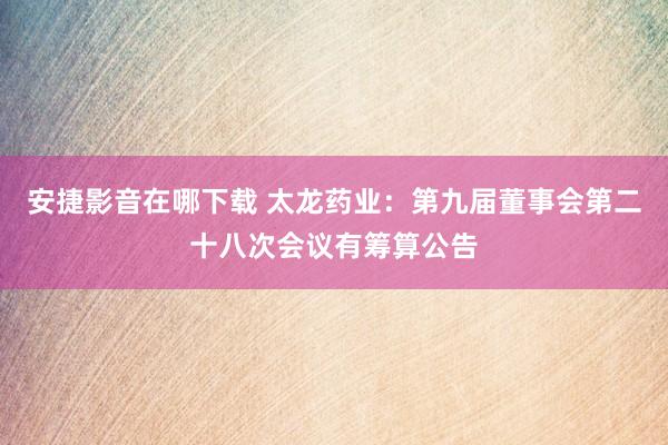 安捷影音在哪下载 太龙药业：第九届董事会第二十八次会议有筹算公告