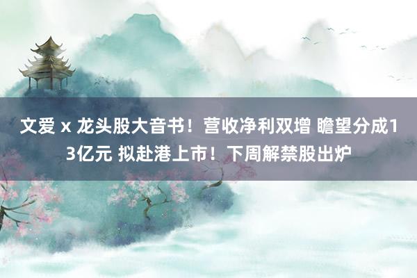 文爱 x 龙头股大音书！营收净利双增 瞻望分成13亿元 拟赴港上市！下周解禁股出炉