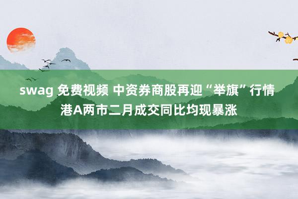 swag 免费视频 中资券商股再迎“举旗”行情 港A两市二月成交同比均现暴涨