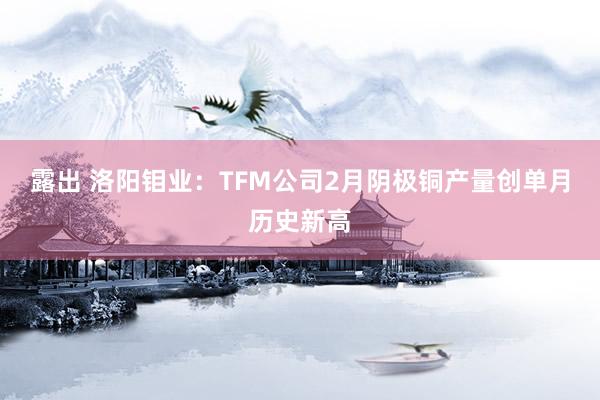 露出 洛阳钼业：TFM公司2月阴极铜产量创单月历史新高