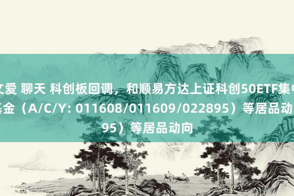 文爱 聊天 科创板回调，和顺易方达上证科创50ETF集中基金（A/C/Y: 011608/011609/022895）等居品动向