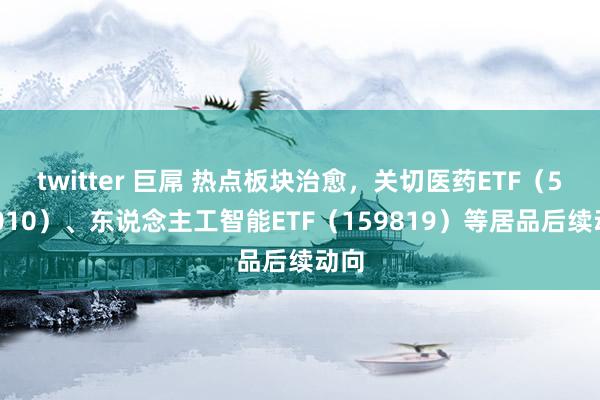 twitter 巨屌 热点板块治愈，关切医药ETF（512010）、东说念主工智能ETF（159819）等居品后续动向